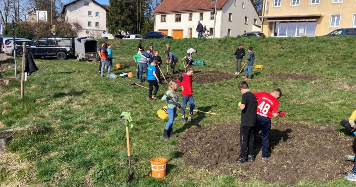 Blühkreisaktion des SWV Bonndorf in Kooperation mit der Naturparkschule